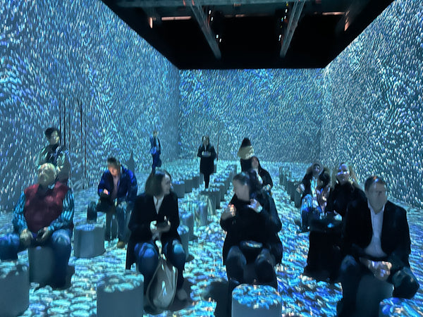 Visit to the Grand Egyptian Museum conservation center