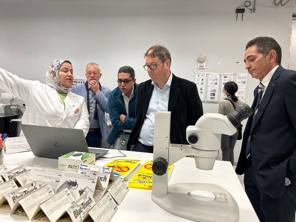 Visit to the Grand Egyptian Museum conservation center